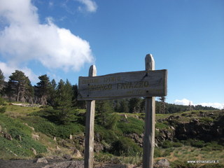 Riconco Favazzo